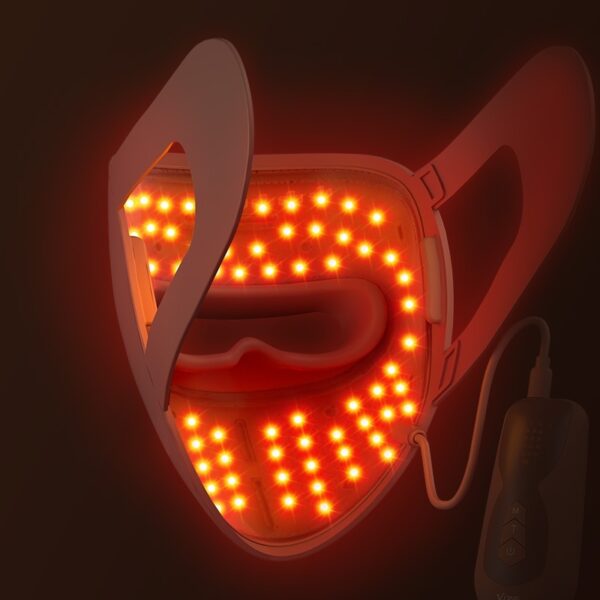 Rechargeable 9D LED Spectrum Light Skin Rejuvenation Beauty Mask - Image 5